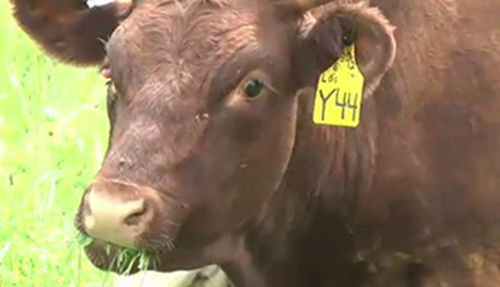 Teacher Experience: “Business of Farming” for 4th-5th Grade Students