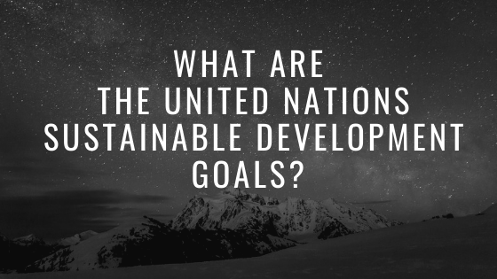 What are the United Nations Sustainable Development Goals?